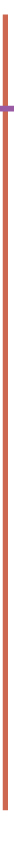 vertical line